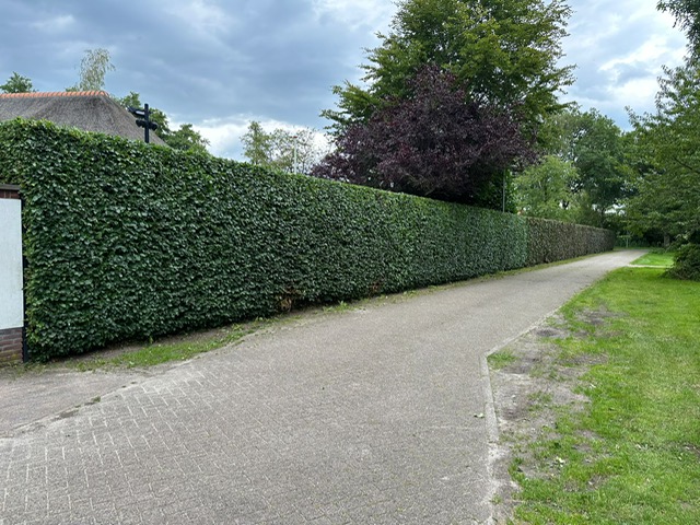 snoeiwerk in hierden