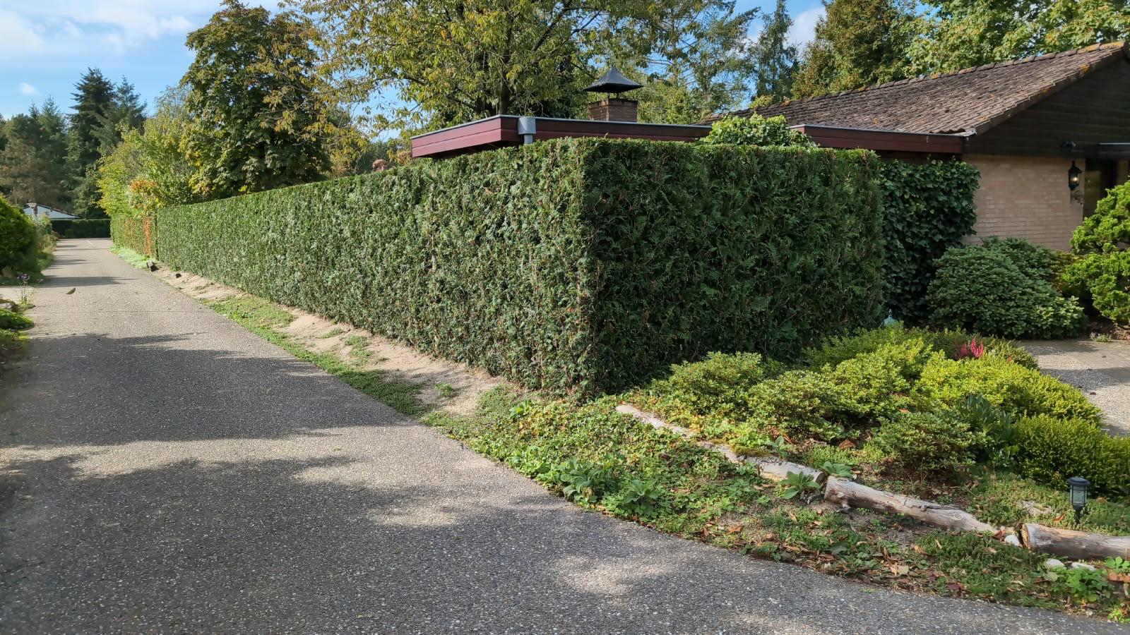 overkapping is in putten en aanleg bestrating verlichting, pergola was in Ermelo op oudduin
